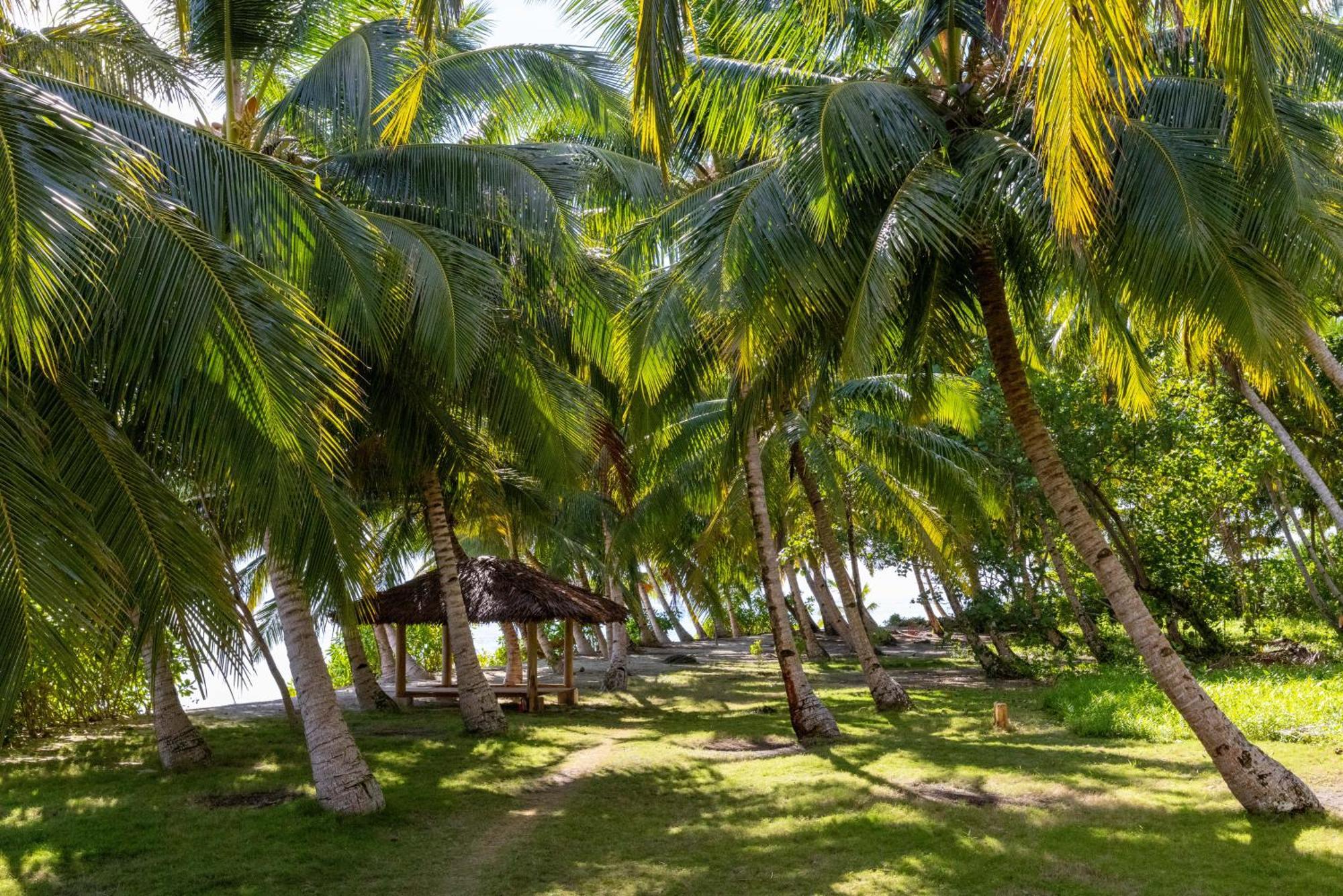Aloita Resort Mentawai Tua Pejat Exterior foto
